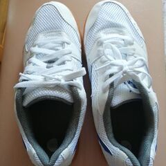 MIZUNO。26、5センチ