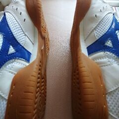 MIZUNO。26、5センチの画像
