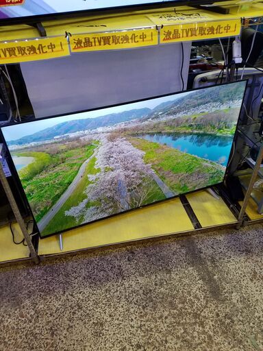 ✨安心の動作保証付✨TCL 2023年製 55インチ液晶テレビ 55P636【愛市IT008397-104】