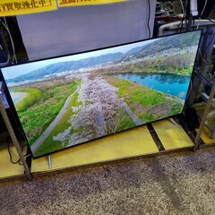 ✨安心の動作保証付✨TCL 2023年製 55インチ液晶テレビ 55P636【愛市IT008397-104】