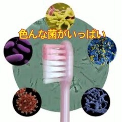 新品　UV  殺菌　除菌　携帯　歯ブラシ　紫外線   オーラルケア 歯周病　ケース　歯ブラシケース　歯ブラシ除菌　コンパクトの画像