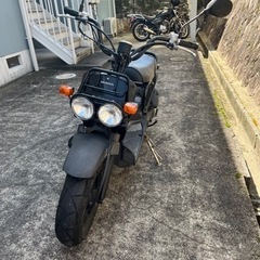 HONDA ZOOMER AF58の画像