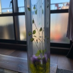 Bottling  Plantsの画像