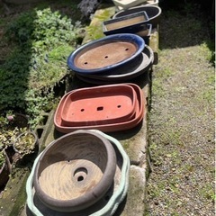 【受渡し予定者様が決定しました】植木鉢　もらってください　　の画像