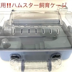 お譲り先決定‼️ハムスター　ケージ　　