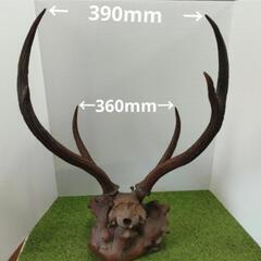 家具 インテリア雑貨/小物 置物、オブジェの画像