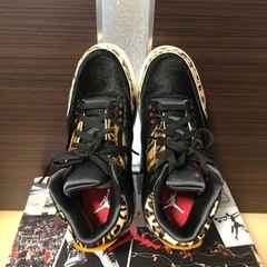 【美品】NIKE AIR JORDAN 3 Animal Instinctの画像