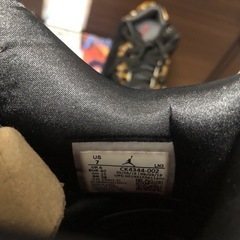 【美品】NIKE AIR JORDAN 3 Animal Instinctの画像