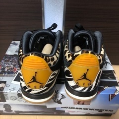 【美品】NIKE AIR JORDAN 3 Animal Instinctの画像