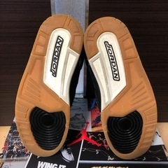 【美品】NIKE AIR JORDAN 3 Animal Instinctの画像