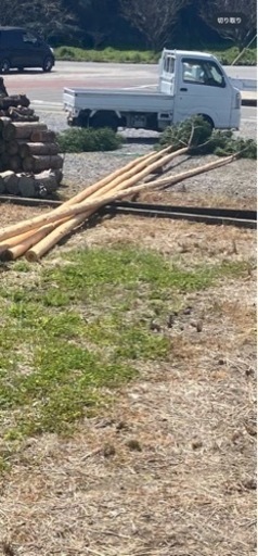 鯉のぼり　　木　　一本　　引き取り限定