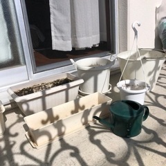 いろんな植木鉢とガルデンイング品の画像