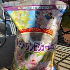 未使用　未開封　シンビジュームの土　植え替えに