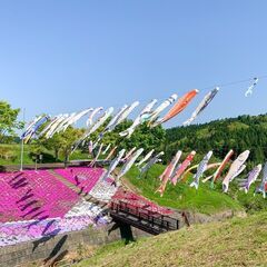いたくら芝桜まつりキッチンカー出店者募集