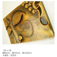 【譲渡者決定済】の画像