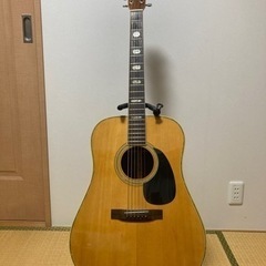 楽器 弦楽器、ギター