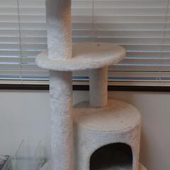 キャットタワーの画像
