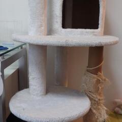 キャットタワーの画像