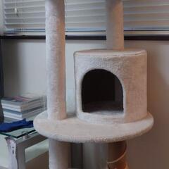 キャットタワーの画像