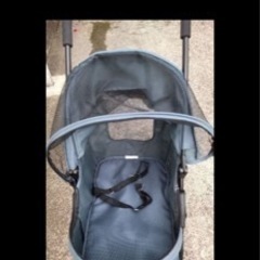 決まりました！ペットカート、バギーの画像