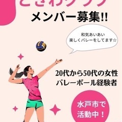 随時募集☆9人制バレーボール🏐一般&ママさんメンバー募集！　水戸市の画像