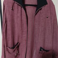 シースルーのジャンパー？になります Ｍサイズ（数回着用）