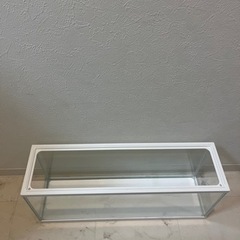 決まりました