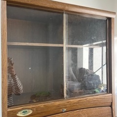 家具 収納家具 カラーボックスの画像