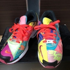 NIKE AIR MAX 2ライト　アトモスコラボ 