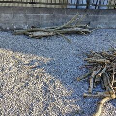 無料　木　木材　薪の画像