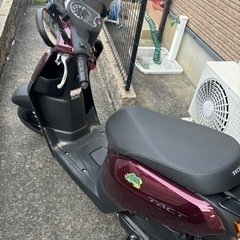 バイク タクトの画像