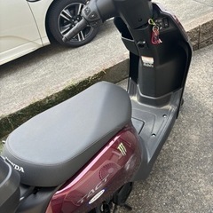 バイク タクトの画像