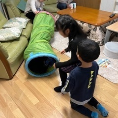 プレイトンネルの画像