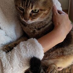 決まりました！　グラマラス☆性格も良し☆ランちゃん　女の子　麦わ...