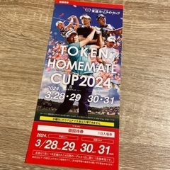 東建ホームメイトカップ2024チケット