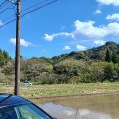 10万坪ー青島、子供の国近くの山林 - 土地販売/土地売買