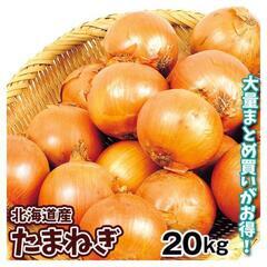 玉ねぎ20キロ①