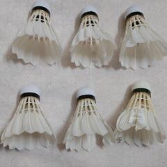 バドミントン　練習用シャトルの画像