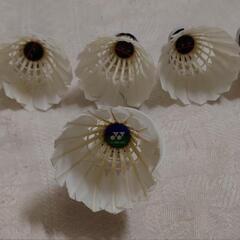 バドミントン　練習用シャトルの画像