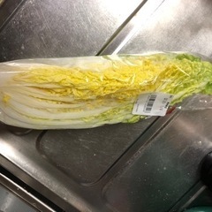 白菜