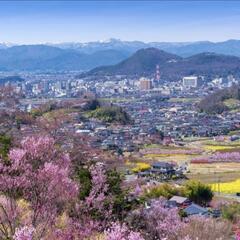 ３/３１(日)の山歩き企画です！