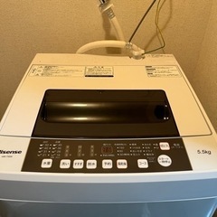 家電 生活家電 洗濯機