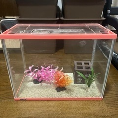 レア GEX 水槽 ピンク