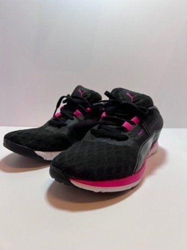 PUMA レディース フィットネスシューズ 24.5cm フレックス XT FT