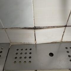 浴槽タイル修復と周りメジ補強　決まりました