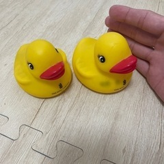 アヒル(リッツカールトン)