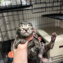 親子で保護しました！！