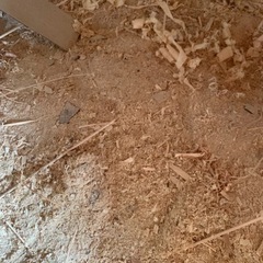 おがくず　鋸屑　木端　の画像