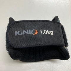 I 2403-839 イグニオ アンクルリストウェイト 使用感ありの画像