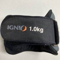 I 2403-839 イグニオ アンクルリストウェイト 使用感ありの画像